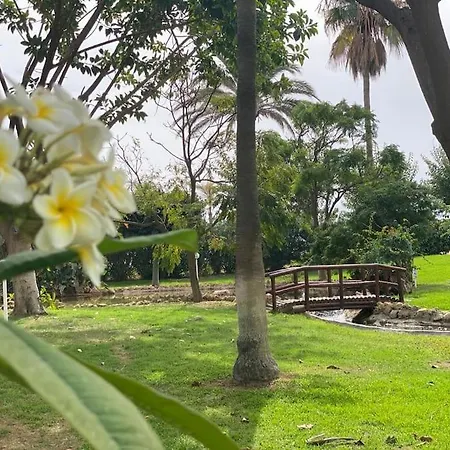 Luxury Alamos - Costa 토레몰리노스