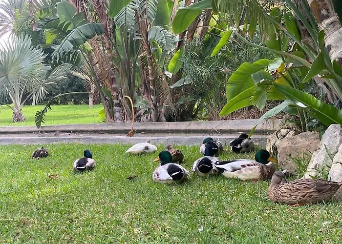 Luxury Alamos - Costa Апартаменты *